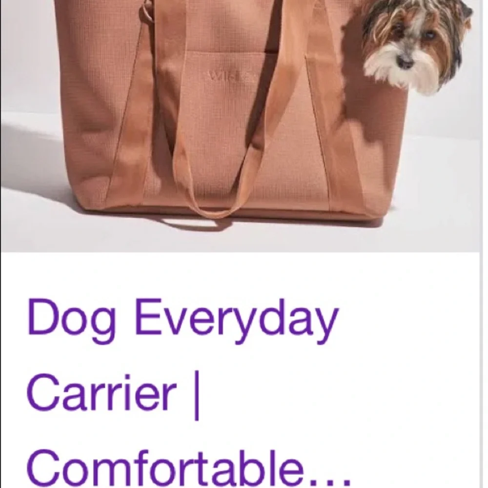 Pet stylish carrier